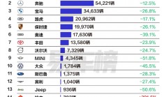上半年中国进口车品牌销量榜：前十阵营除了雷克萨斯 其余全线暴跌