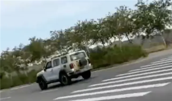 可靠性再次提升!坦克300柴油版实车曝光