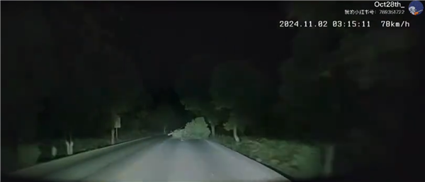 智己夜间自动紧急变道躲开大树 车主:智能驾驶关键时刻真能救命