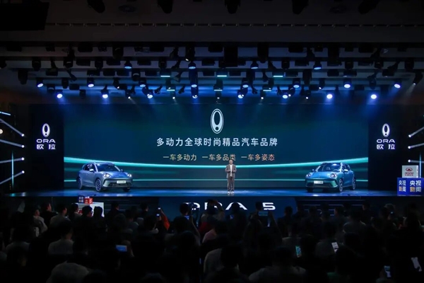 魏建军耿直反共识 长城后面还要推出“防忽悠指南”